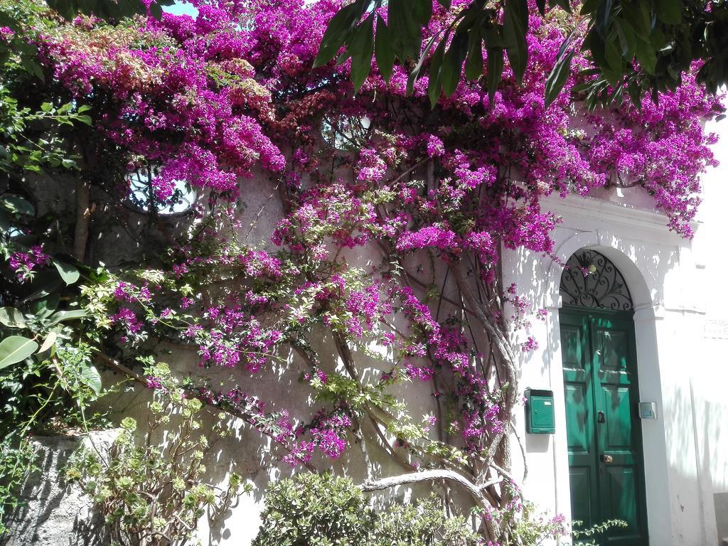 Apartamento Il Gelso Anacapri  Exterior foto